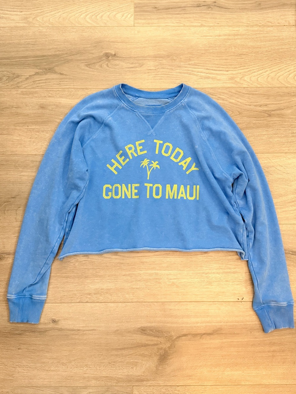 American Eagle Outfitters Blue Cropped Sweatshirt with Yellow Graphic